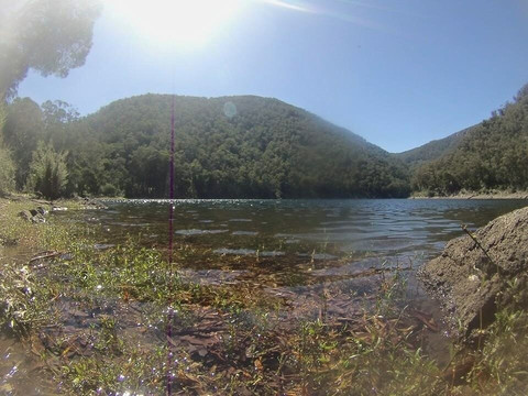 Lake Tali Karng-Alpine National Park必去景点