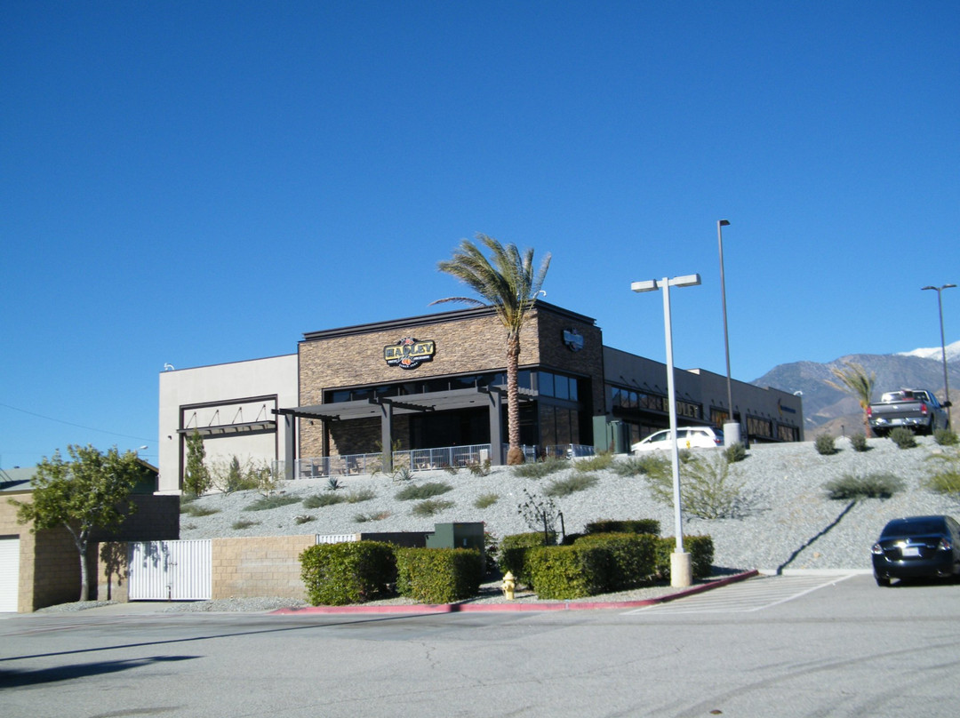 Hadley Fruit Orchards-棕榈泉市必去景点