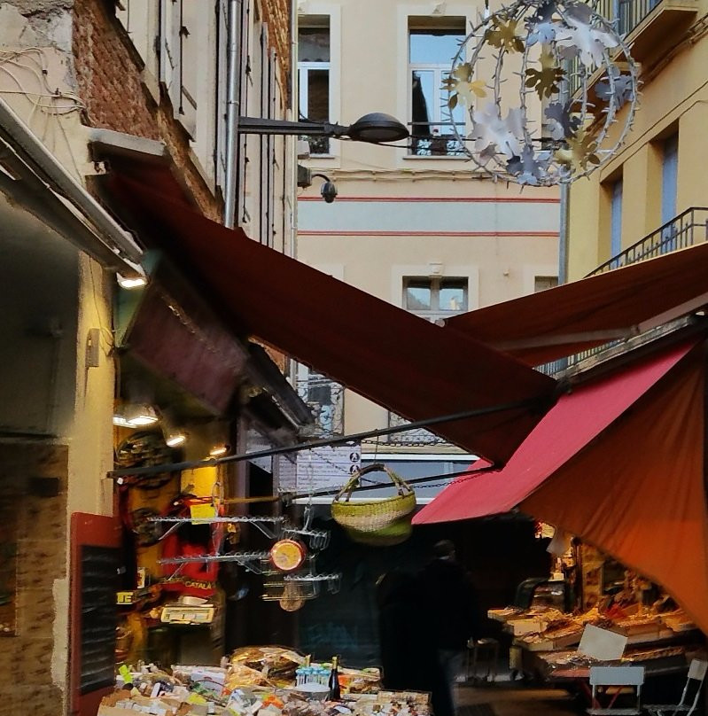 Rue Paratilla-佩皮尼昂必去景点