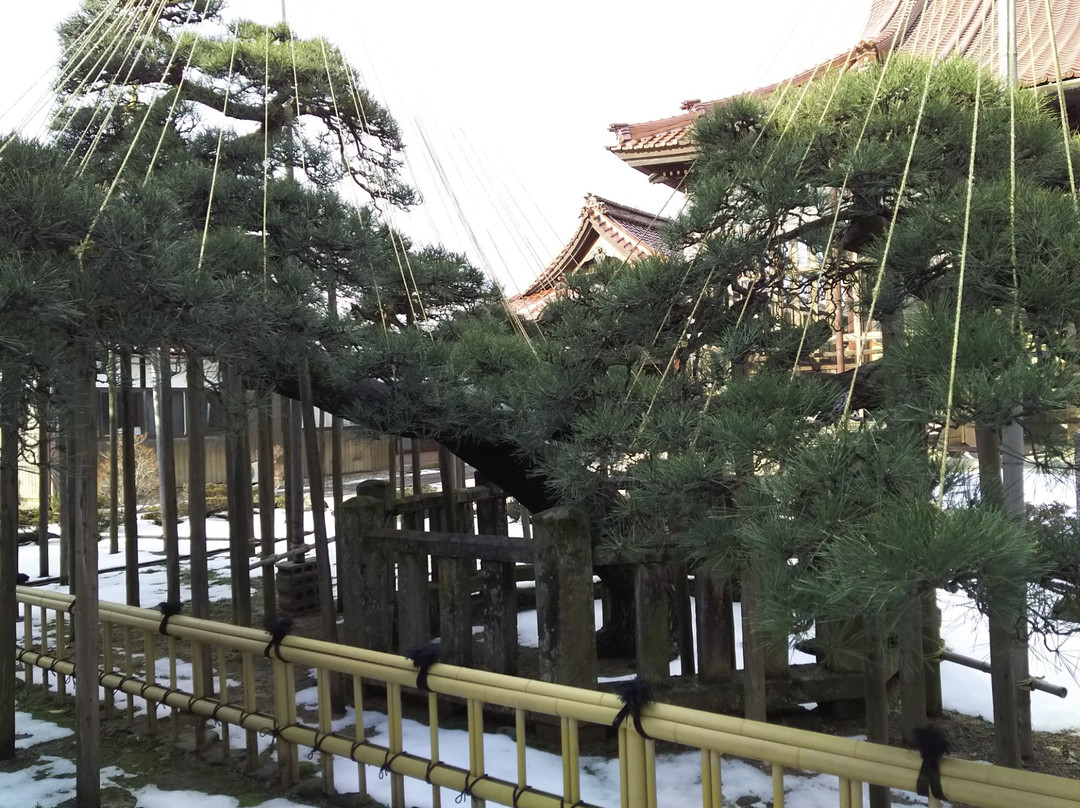 Senkoji Temple-加贺市必去景点