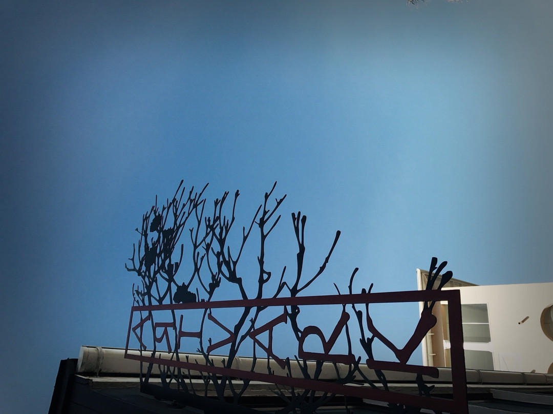 Artvark Gallery-开普敦中心区必去景点