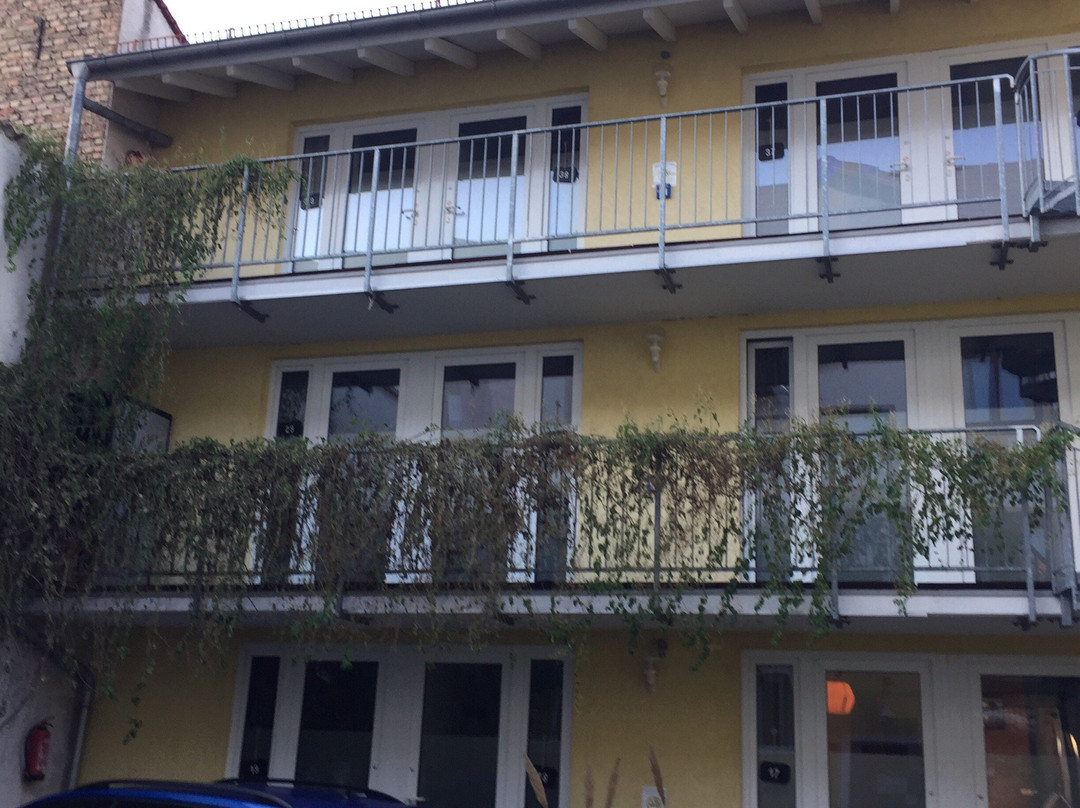 Hotel Auerstein Heidelberg主图