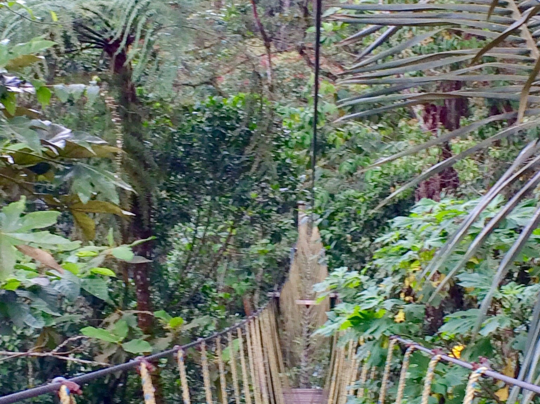 Ecoparque Los Yarumos-Manizales必去景点