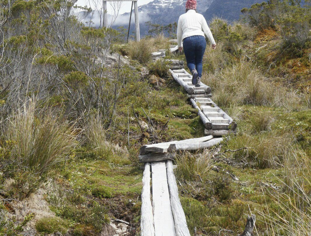 Sendero Cerro La Bandera-Tortel必去景点