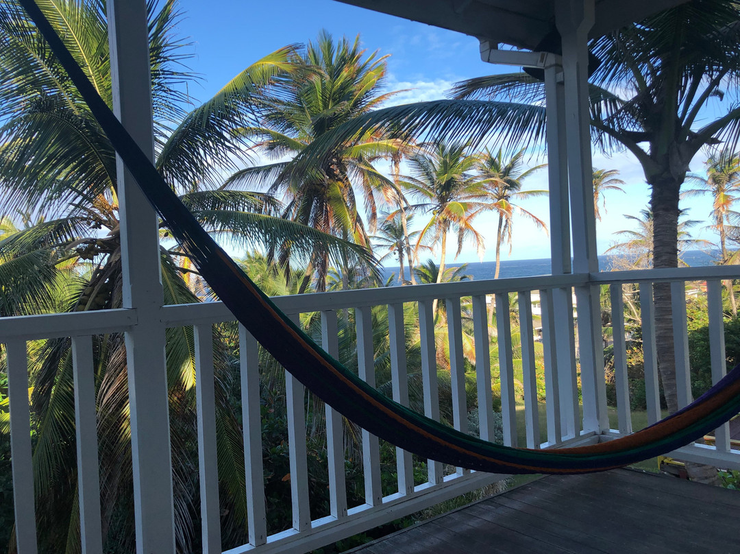 ECO Lifestyle & Lodge主图