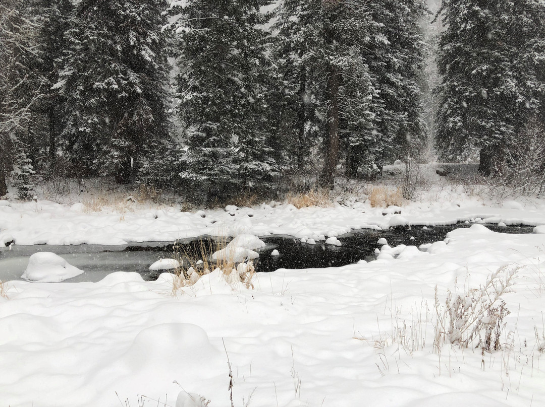 O-Bar-O Cabins主图