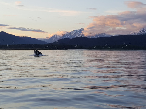 Seward Charters-苏厄德必去景点