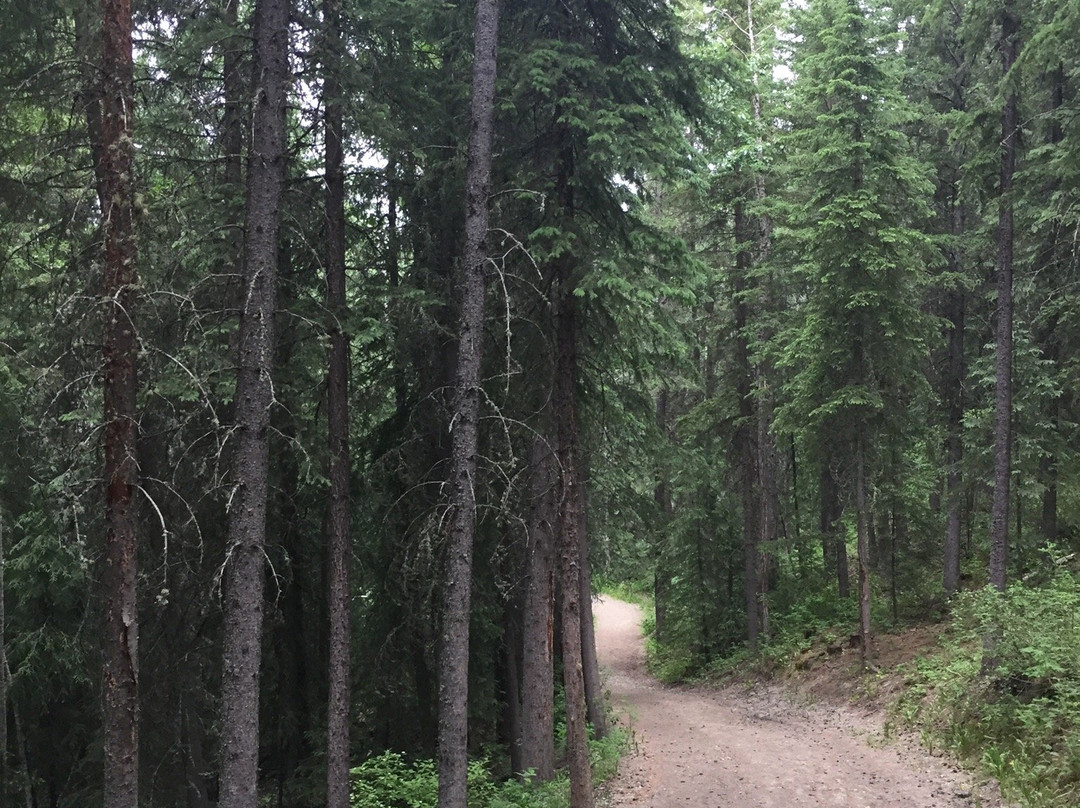 Fish Creek Community Forest-Fort St. John必去景点