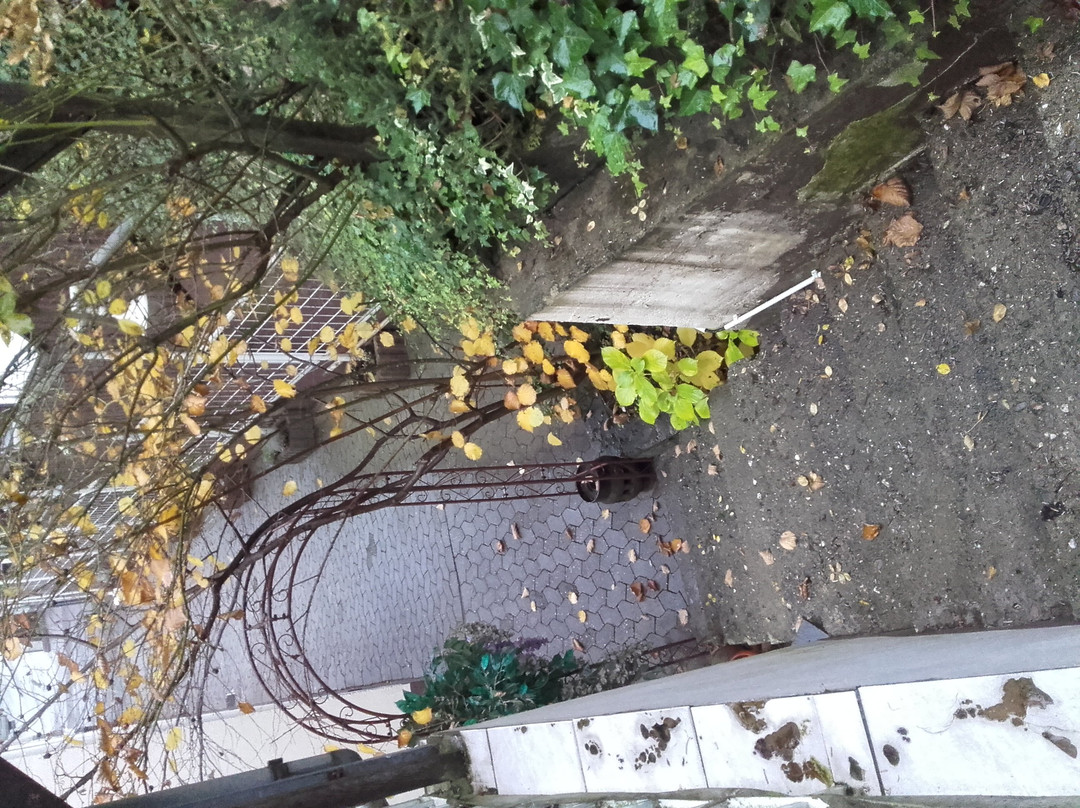 昆兰霍夫酒店主图