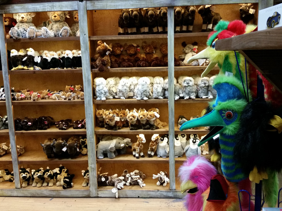 The Jackson Hole Toy Store-杰克逊必去景点