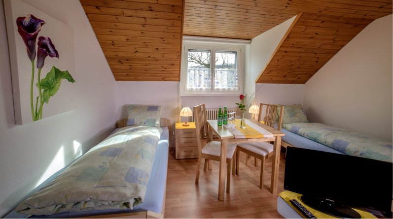 Gasthof und Metzgerei zum Ochsen-官方