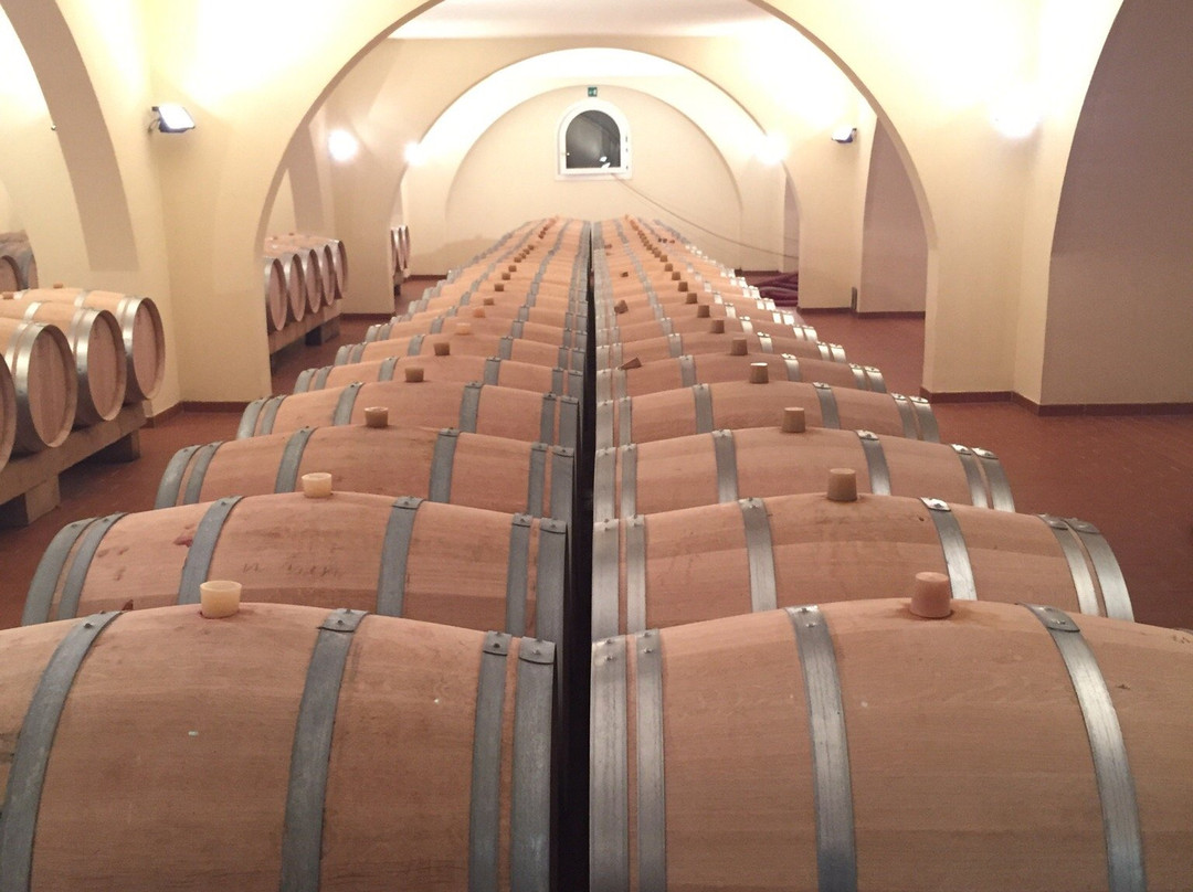 Azienda Agricola Vie di Romans景点图片