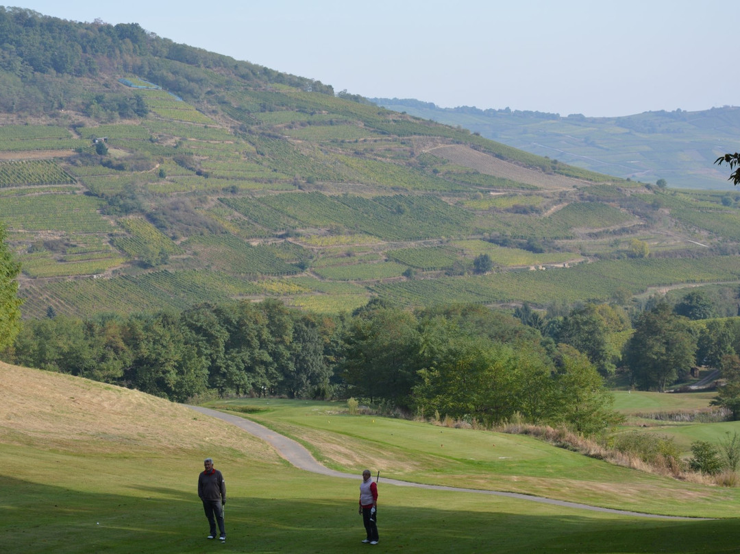 Golf Public d'Ammerschwihr Trois Epis景点图片
