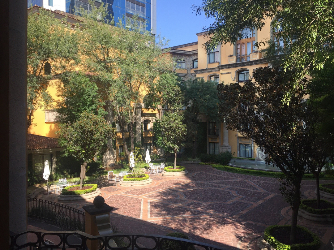 圣佩德罗加尔萨加西亚镇酒店住宿-蒙特雷卡米奥真实酒店