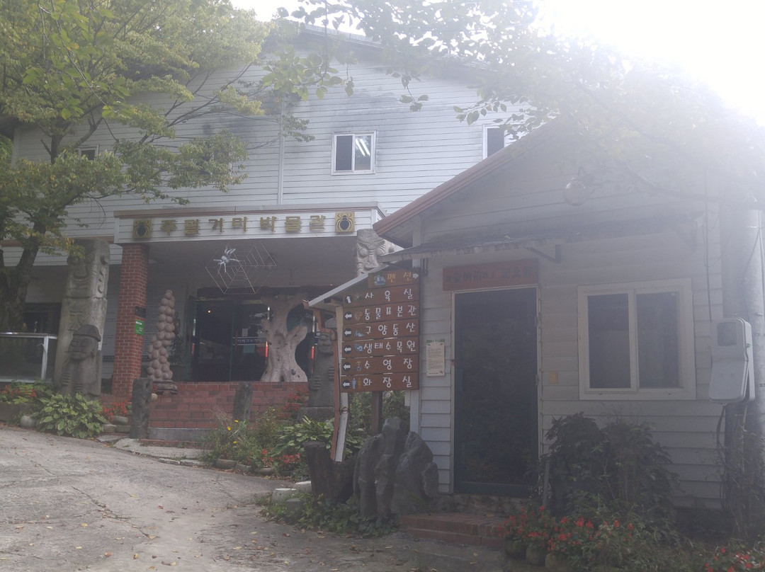 Jupil Spider Museum-南杨州市必去景点