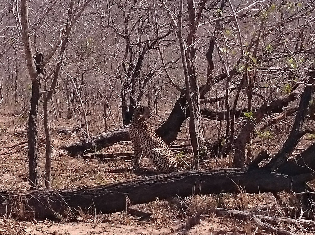 Bundu Enterprises-玛洛斯帕克必去景点