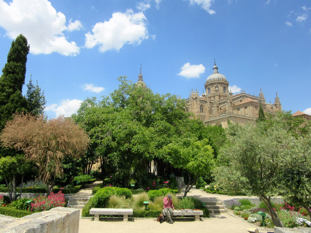 Huerto De Calixto & Melibea景点图片