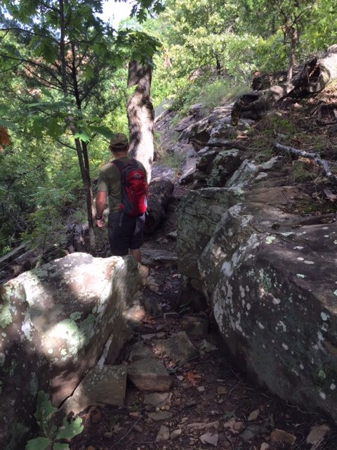 Keystone Ancient Forest-Sand Springs必去景点