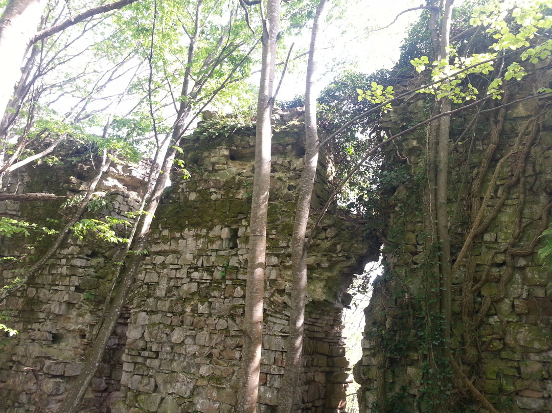 Sislioba Castle景点图片