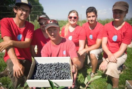 Haskapa-哈利法克斯必去景点