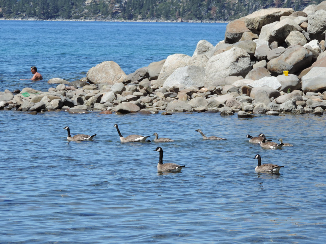 Burnt Cedar Beach-因克莱恩村必去景点