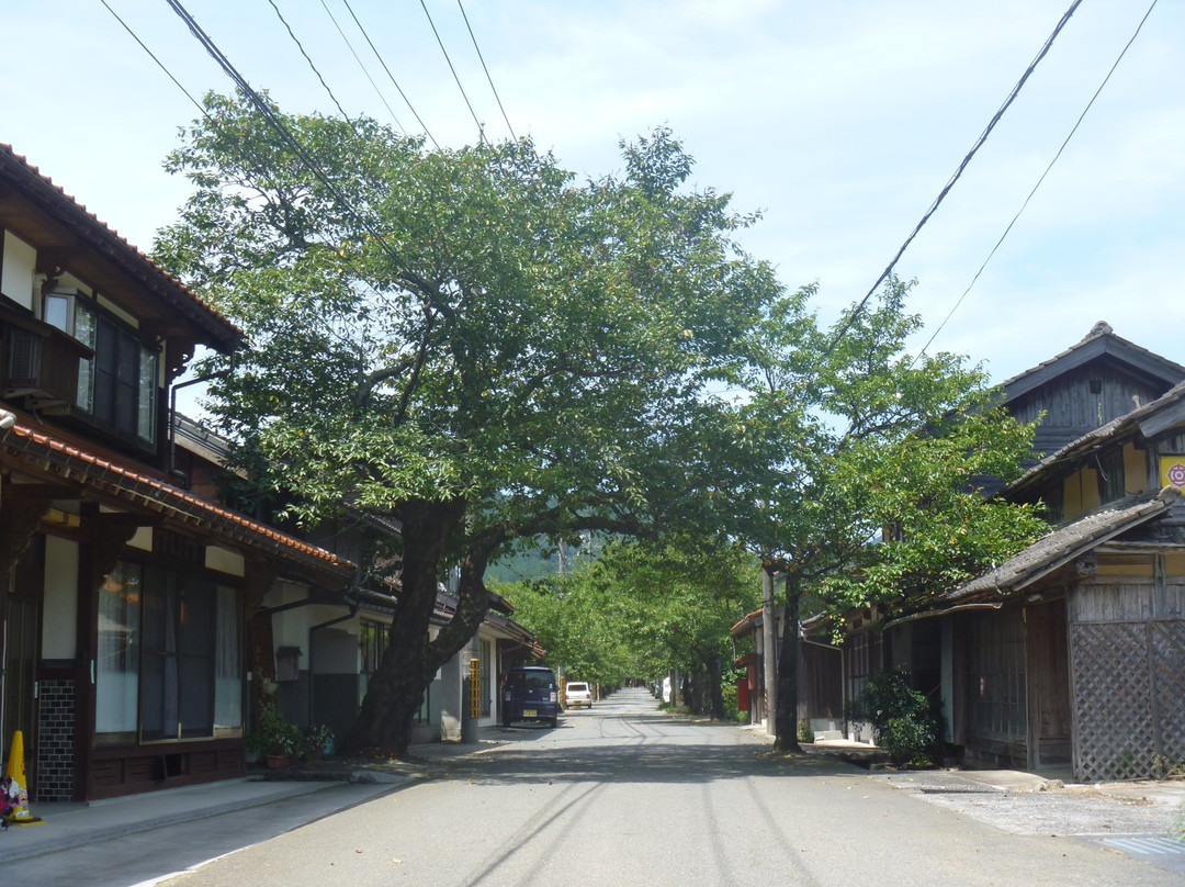 Gaisenzakura-新庄村必去景点
