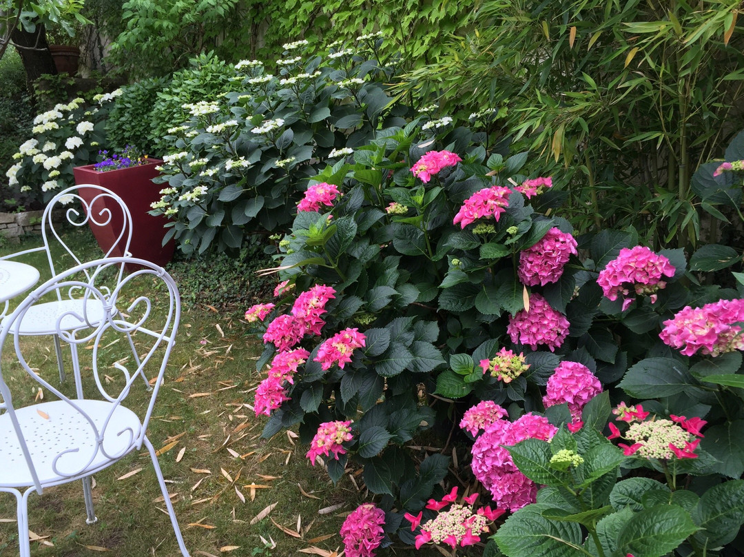 Chambres d'Hote L'Olivier主图