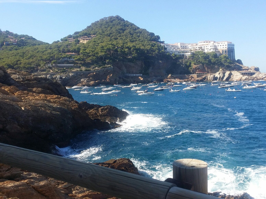 Cala d'Aiguafreda景点图片