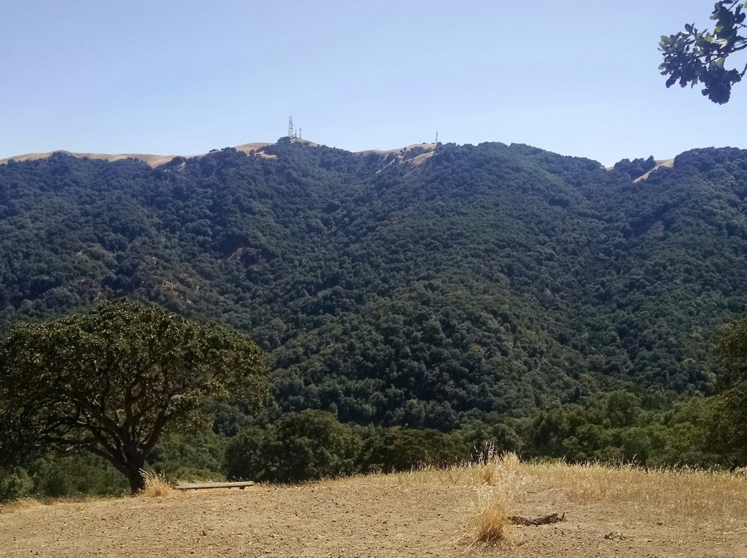 Augustin Bernal Park-普莱森顿必去景点