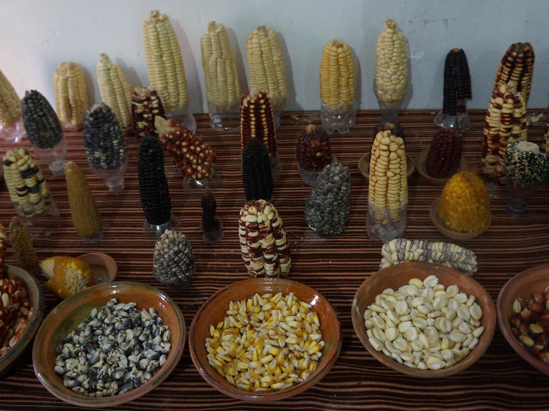 Museo Ritos Andinos-Andahuaylillas必去景点