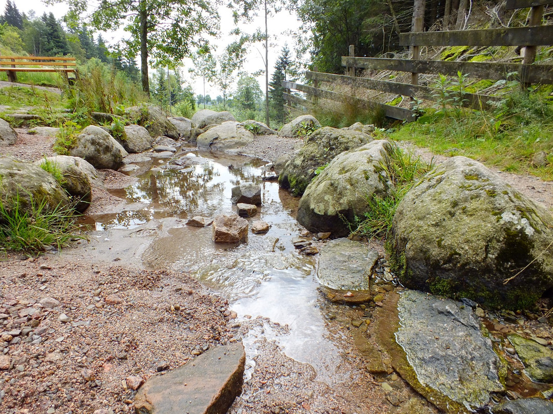 Furtwangen旅游攻略图片