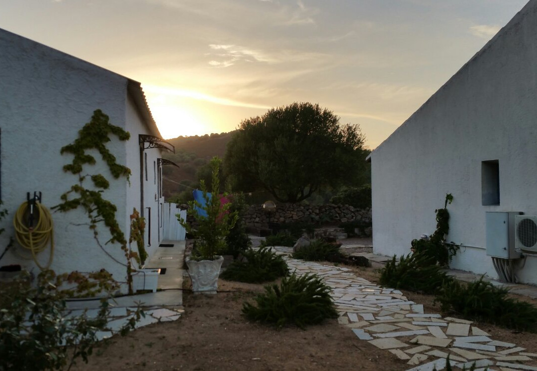 The Old Farm Asfodeli主图