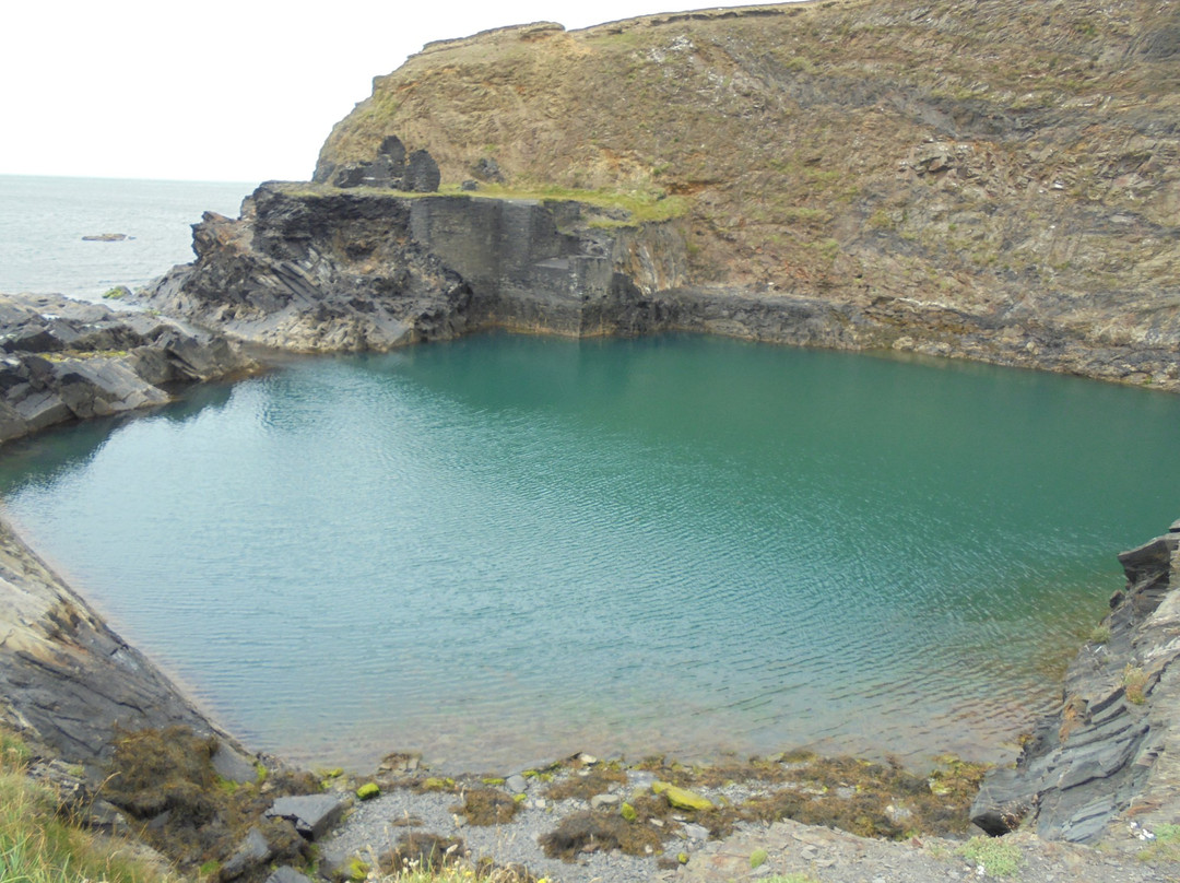 Coastal Stay - Noddfa Farm