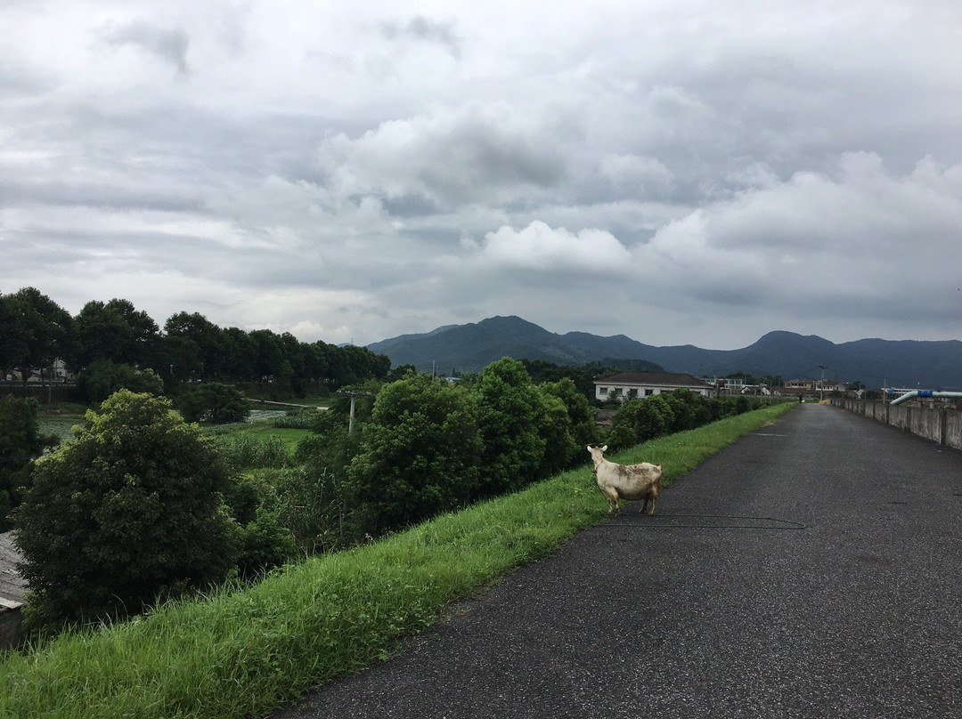 绍兴东山-上虞市必去景点