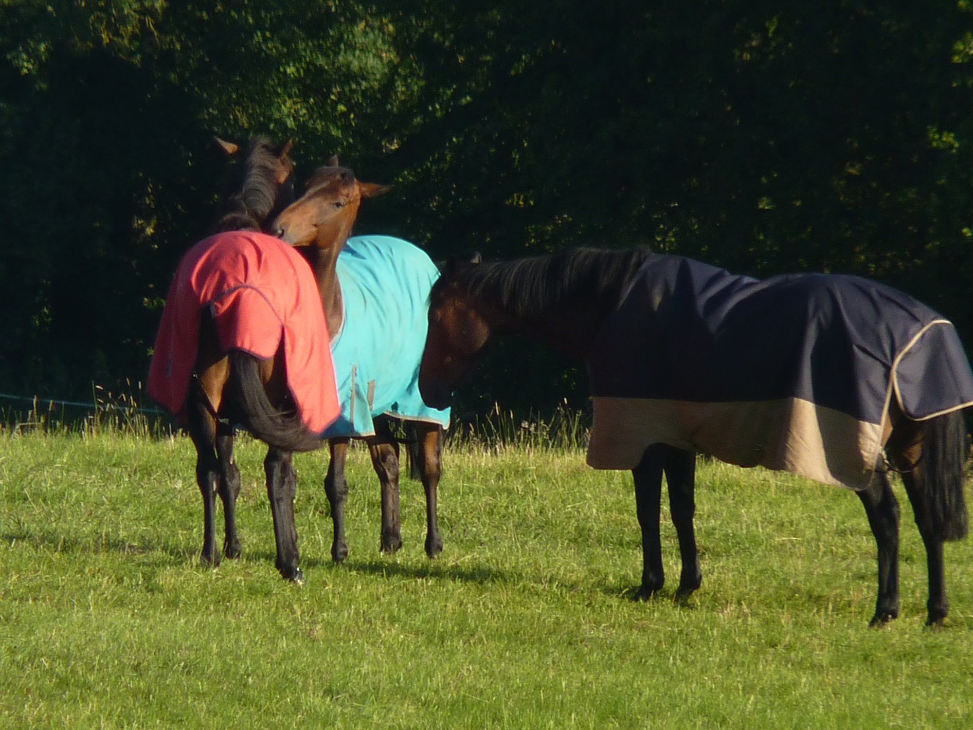 The Copse B&B-浴室