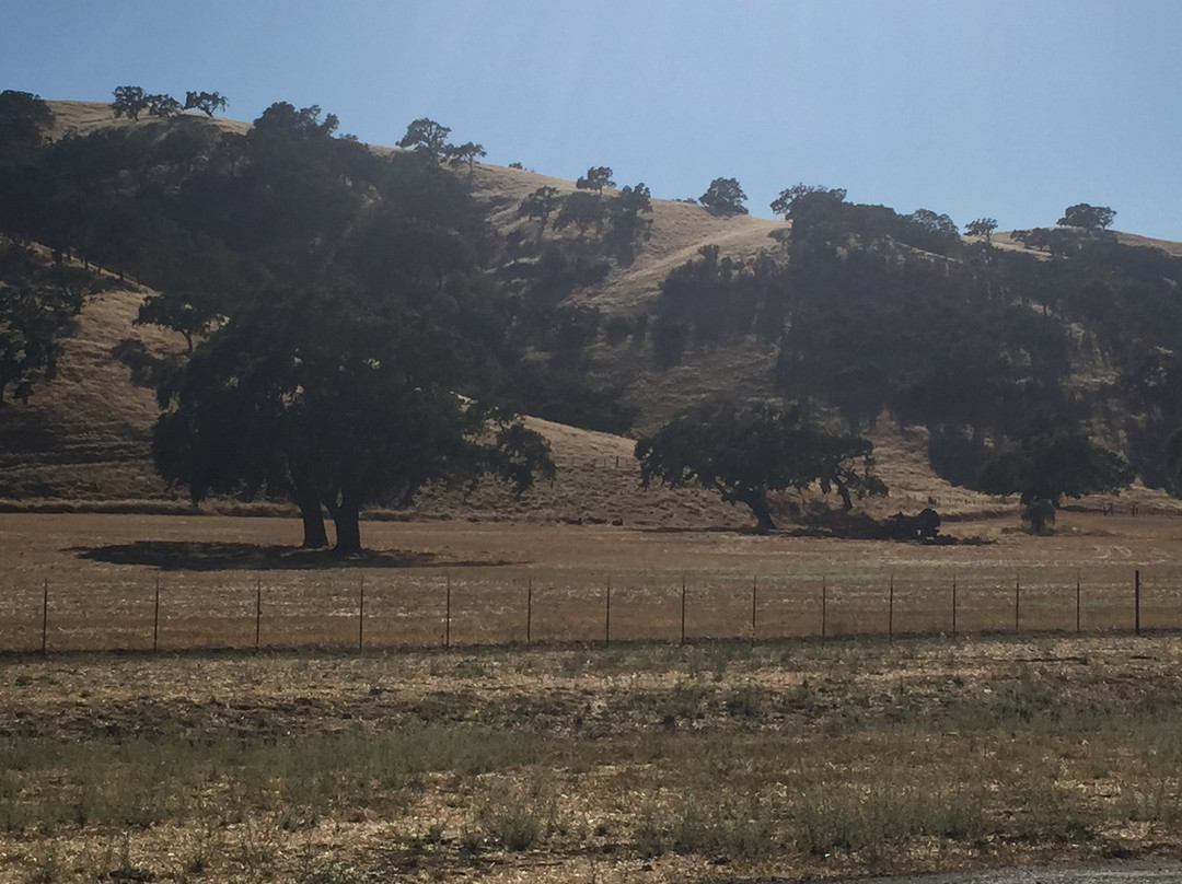 Coyote Valley Sporting Clay-摩根希尔必去景点