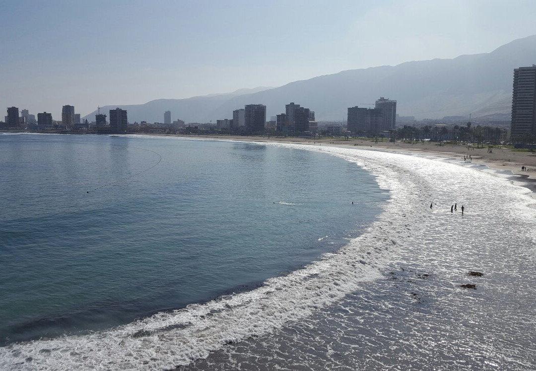 Cavancha Hotel主图