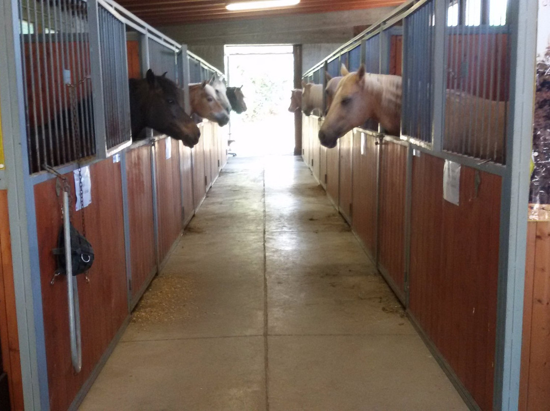 Equitazione Campo Abierto-Cazzago San Martino必去景点