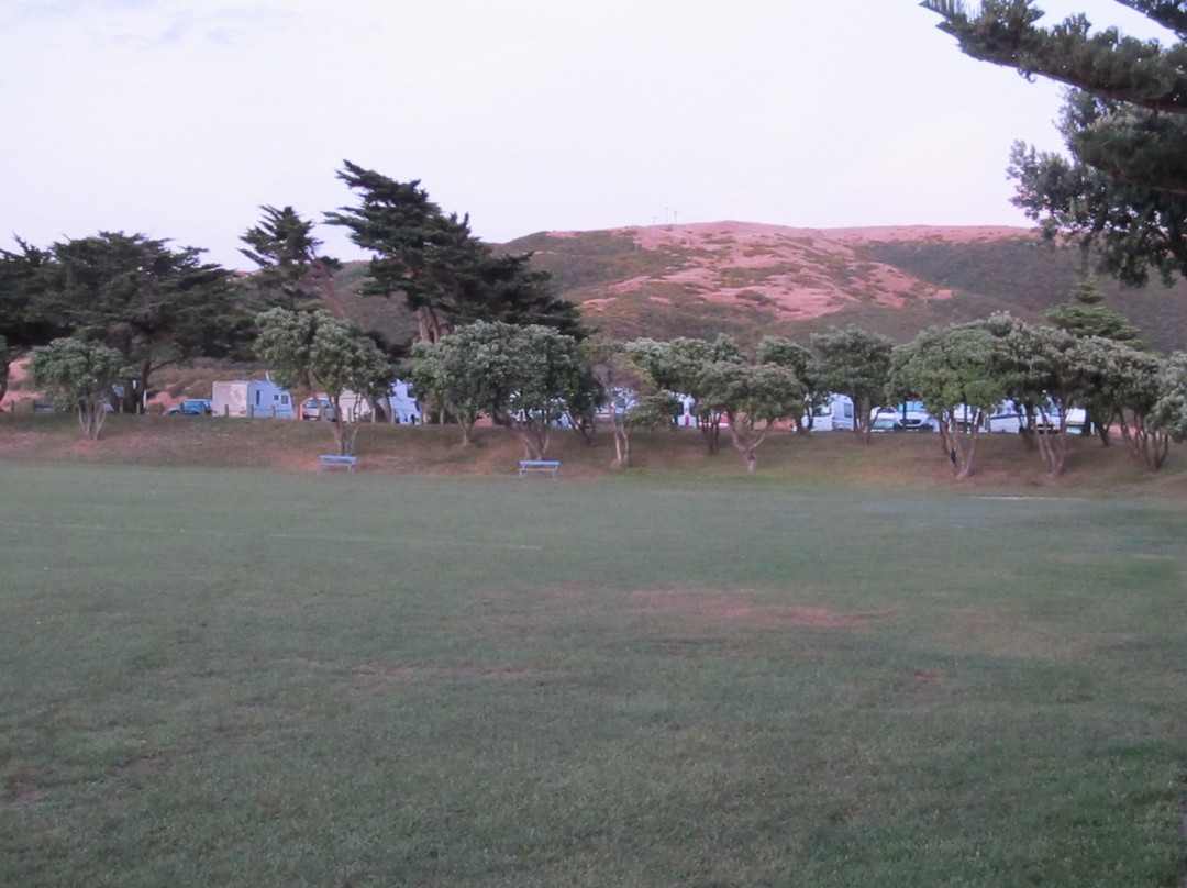 Ngati Toa Domain景点图片