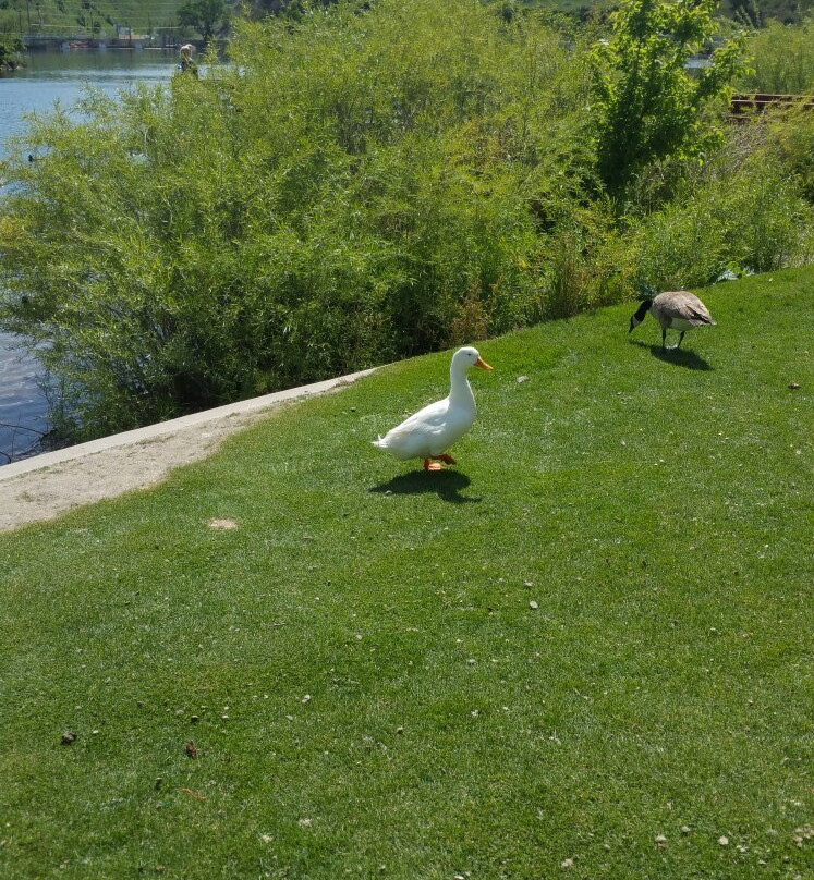 First Dam/Canyon Entrance Park-洛根必去景点
