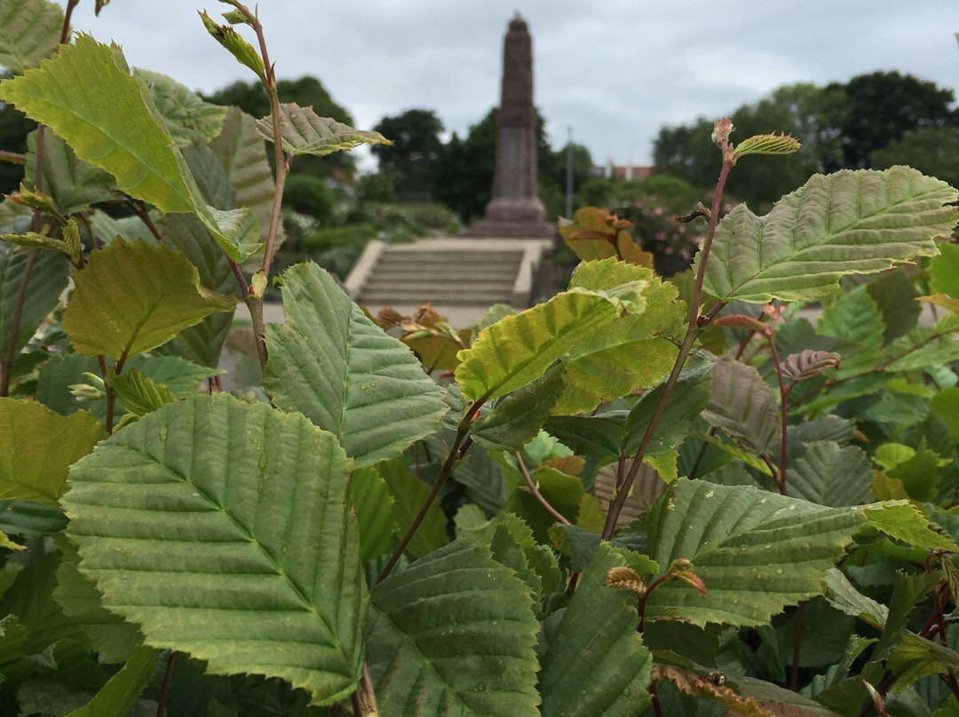 Herne Bay Memorial Park-Herne Bay必去景点