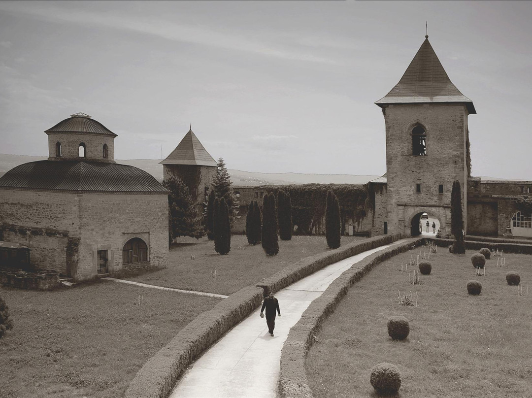 Cetăţuia Monastery (Mănăstirea Cetățuia)景点图片