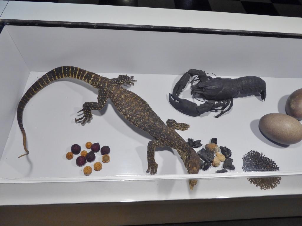 Kojonup Visitor Centre-Kojonup必去景点