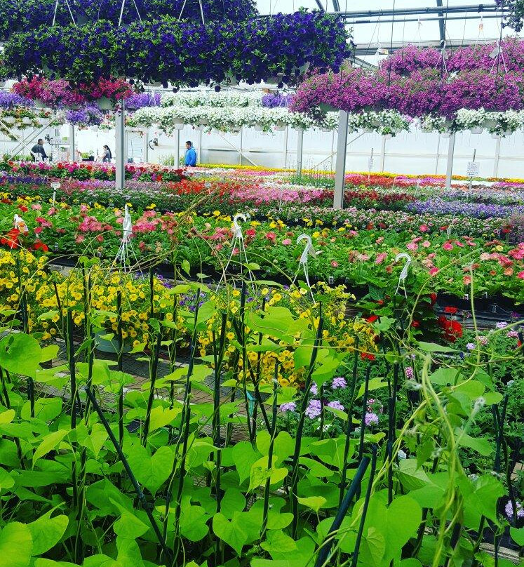 Hallock's U-Pick Farm-New Egypt必去景点