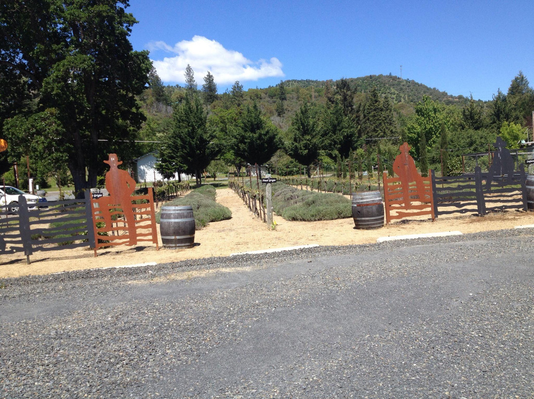 Fiasco Winery-Jacksonville必去景点