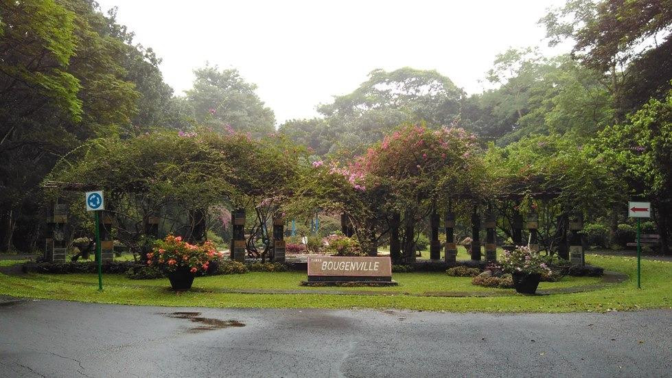 Kebun Raya Purwodadi-巴苏鲁安必去景点