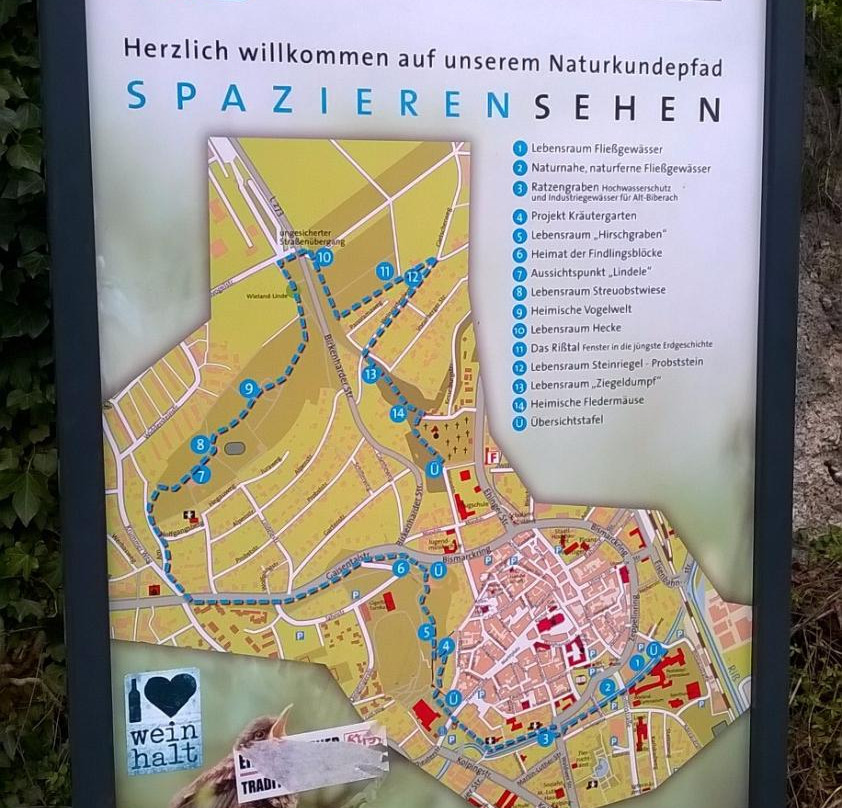 Weißer Turm-比伯拉赫（里斯）必去景点