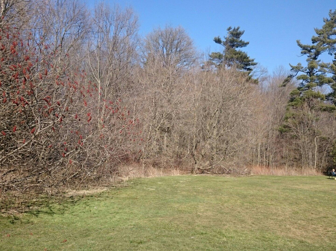 Lowville Park-伯灵顿必去景点