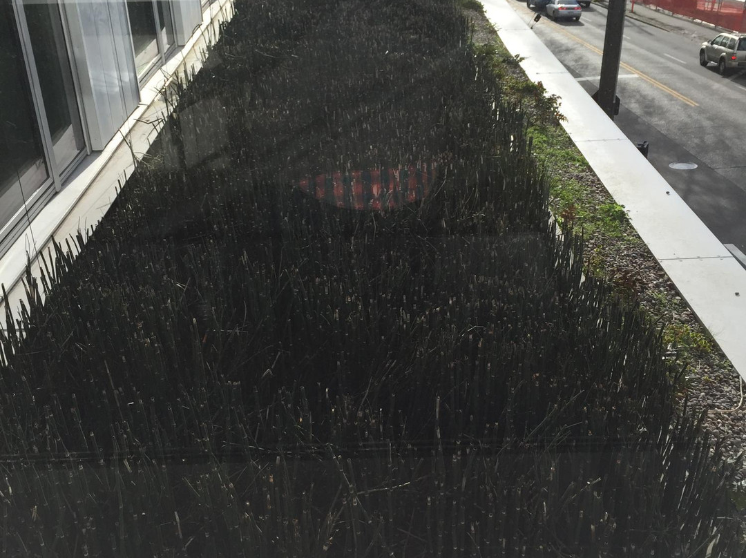 Bullitt Center-西雅图必去景点