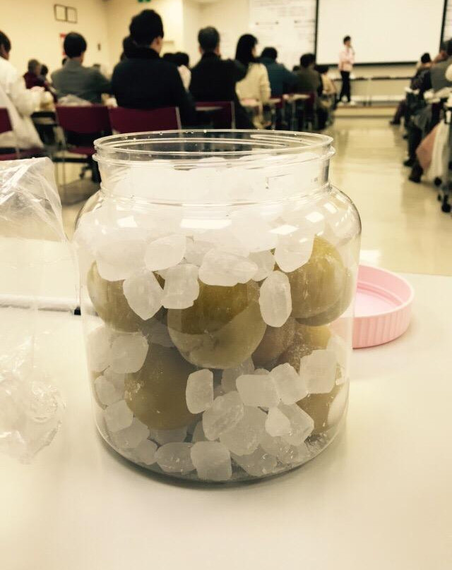 Kishu Umeboshi-kan-南部町必去景点